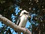 crowdy-national-park 060